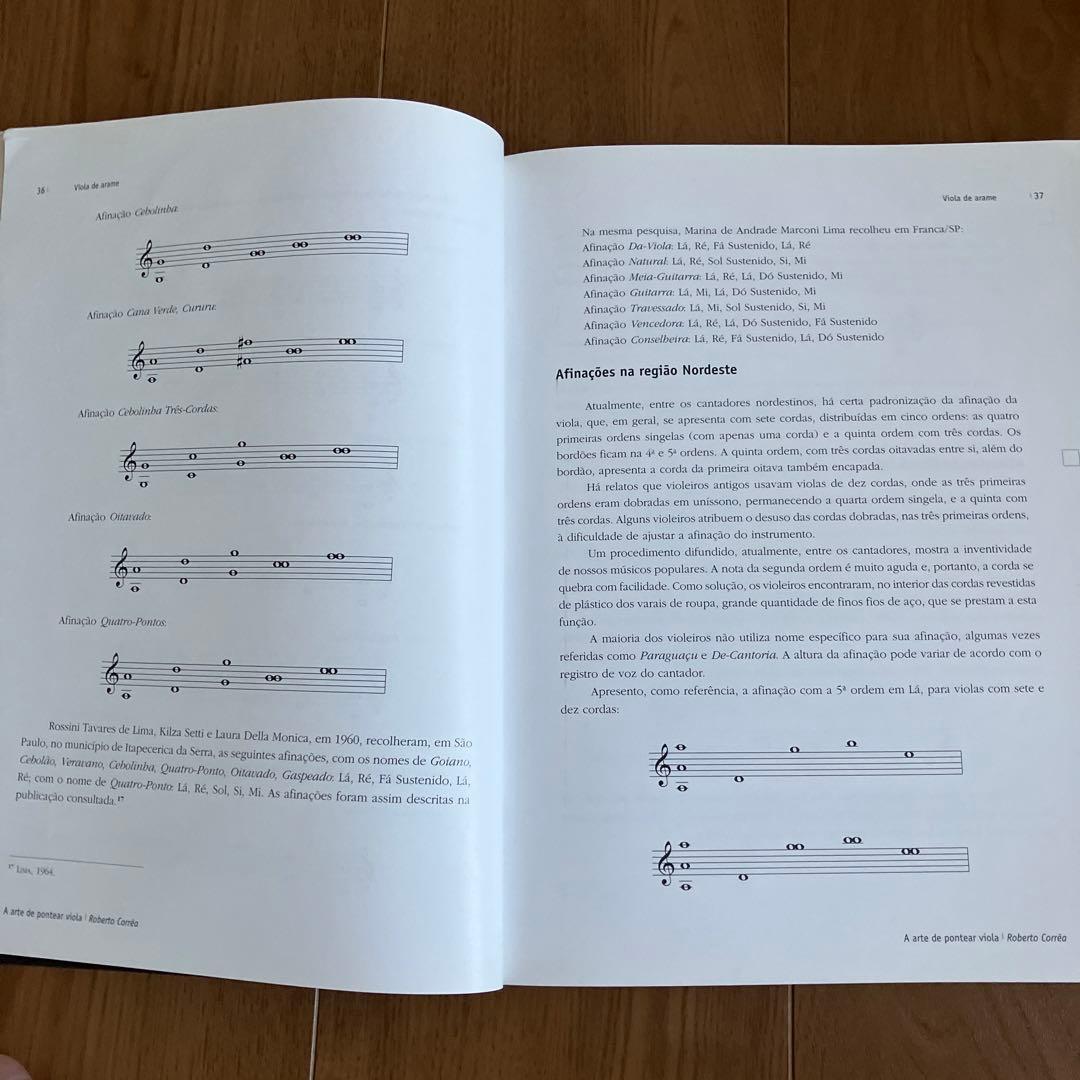 アート・デザイン・音楽 A Arte de Pontear Viola / Roberto Correa
