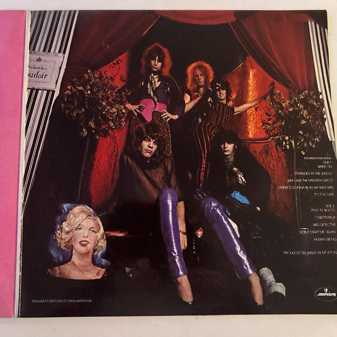 洋楽 New York Dolls 2 Record Set LP 1st&2nd