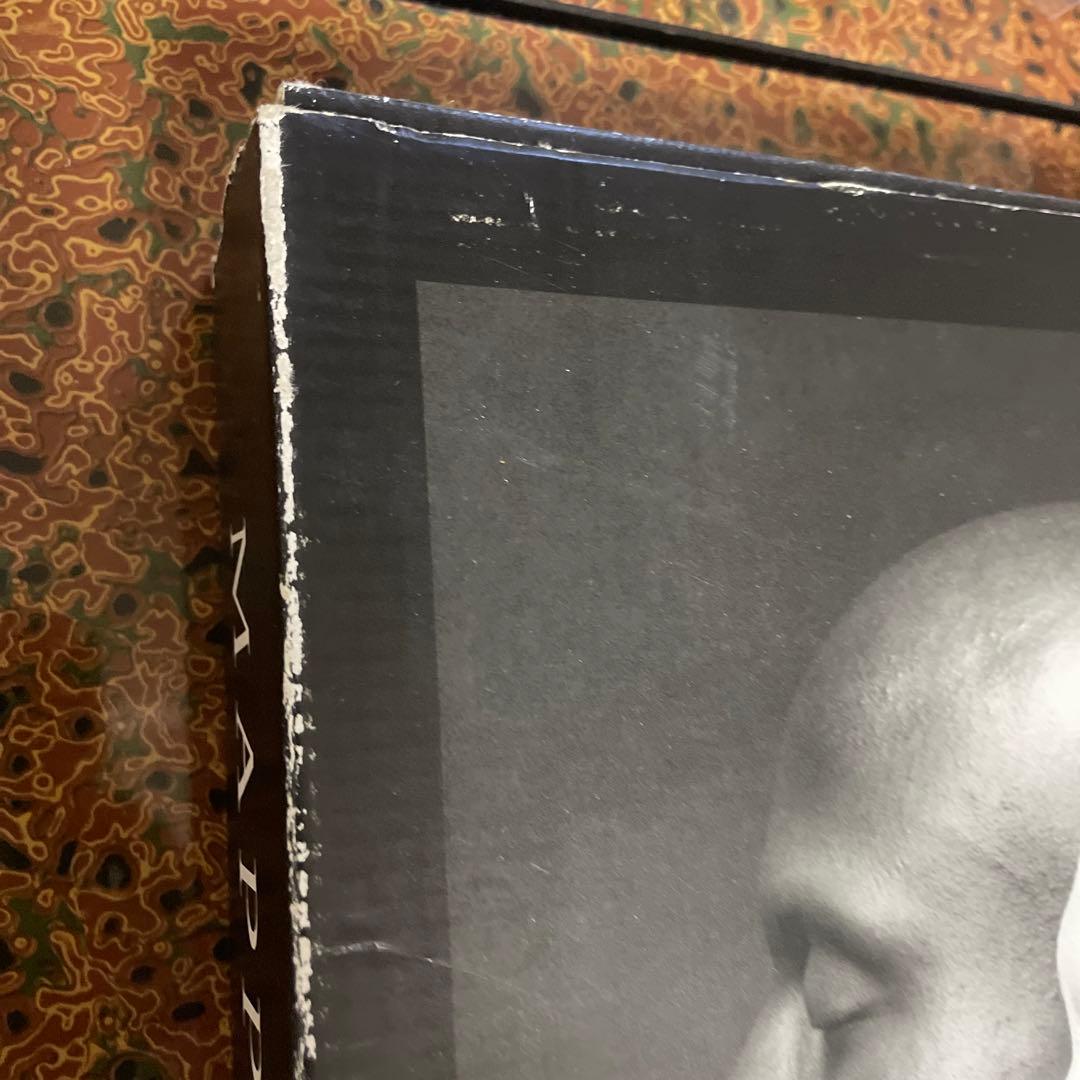 アート・デザイン・音楽 MAPPLETHORPE mapplethorpe