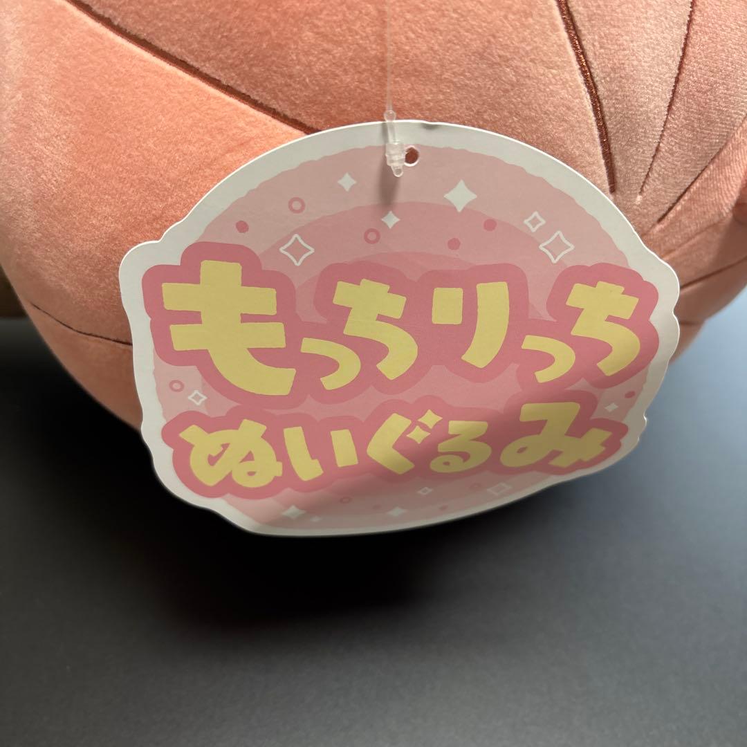 ポケモン　もっちりっち　ぬいぐるみ　バケッチャ