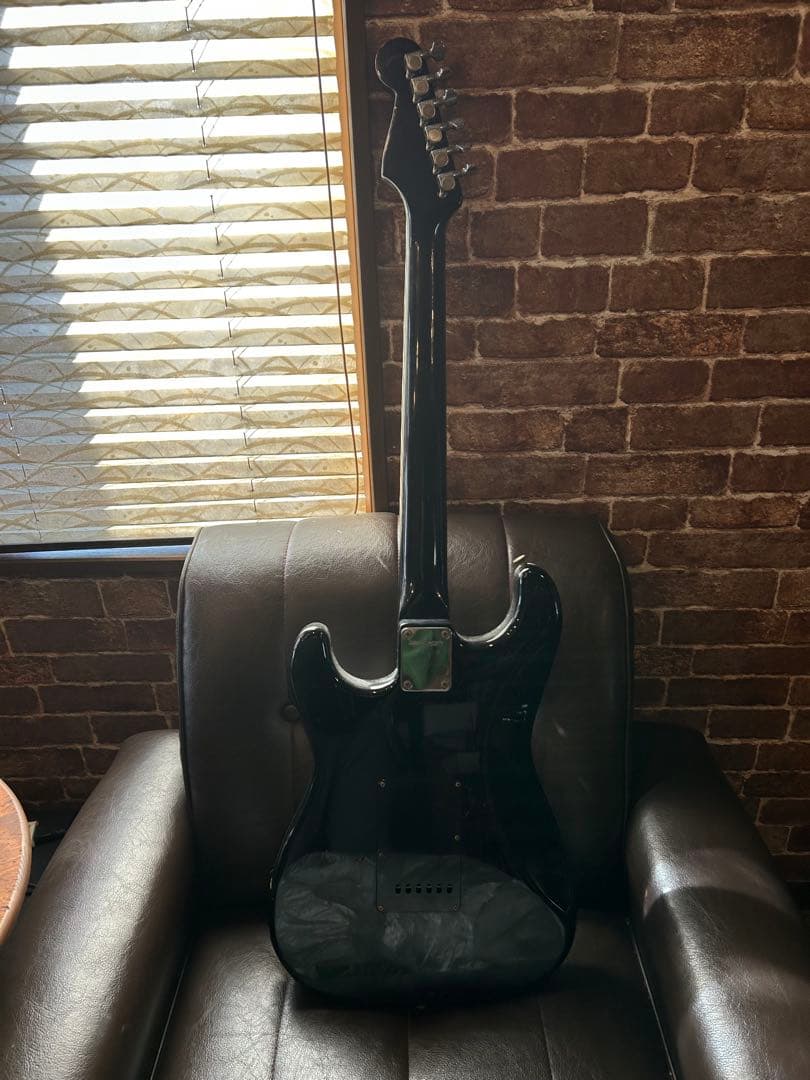 ギター FERNANDES THE FUNCTION