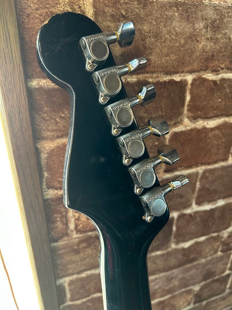 ギター FERNANDES THE FUNCTION