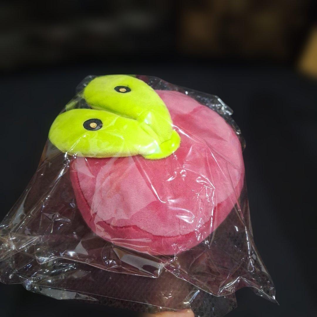 ポケモンセンター　カジッチュ　ぬいぐるみ　日本