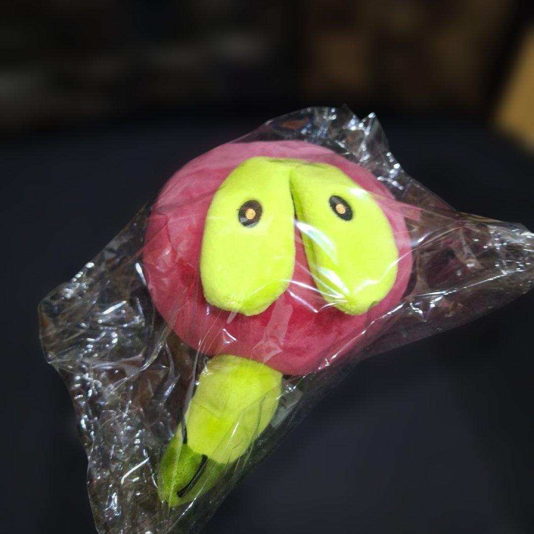 ポケモンセンター　カジッチュ　ぬいぐるみ　日本