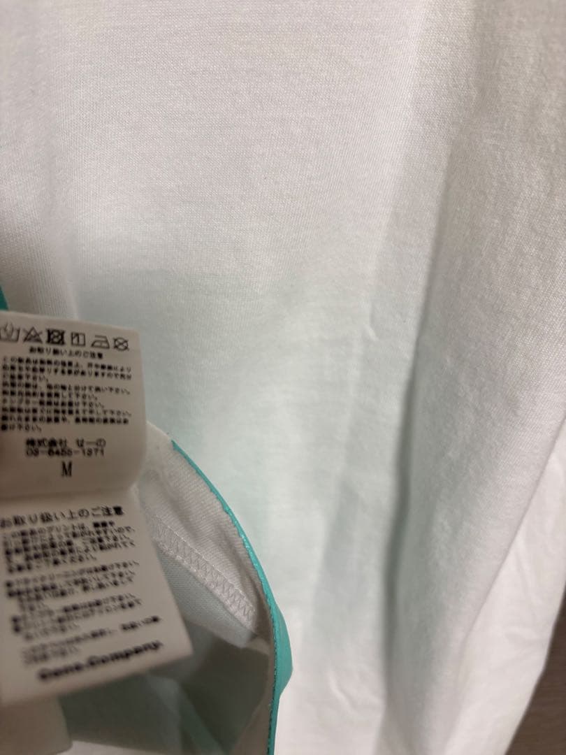 [希少] FR2 月桃　Tシャツ　白　ティファニーブルー　沖縄限定　ビッグロゴ