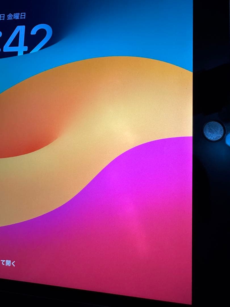 の*読様 Apple iPad Pro 10.5インチ スペースグレー 256G