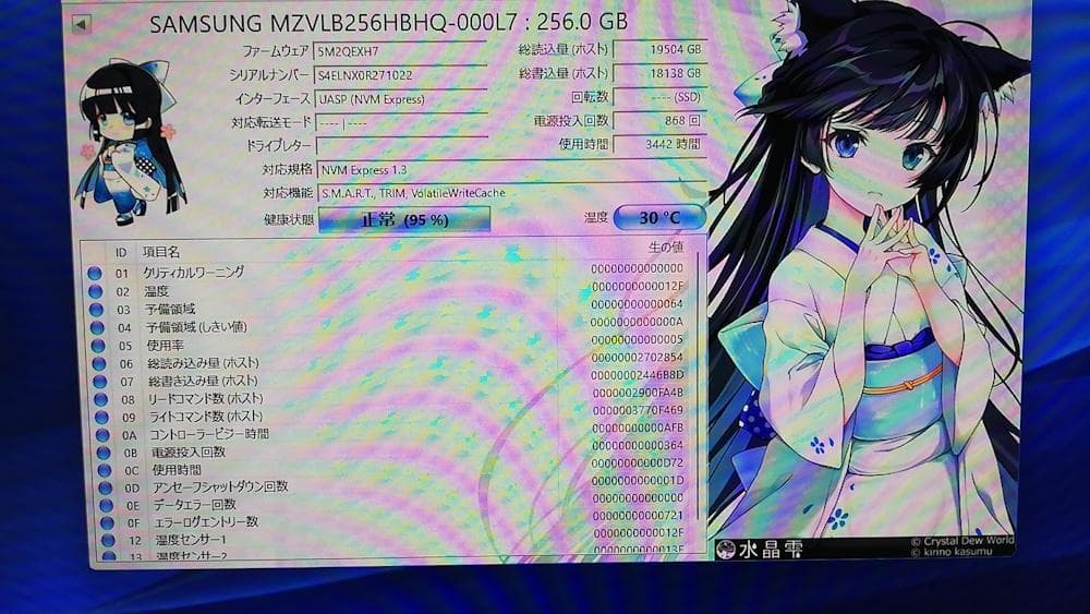 Samsung MZVLB256HBHQ-000L7 256GB SSD 3枚組
