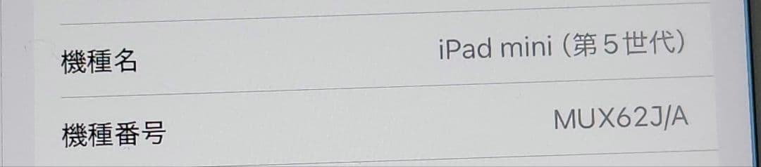 Apple iPad mini 第5世代 Wi-Fi+Cellular au版