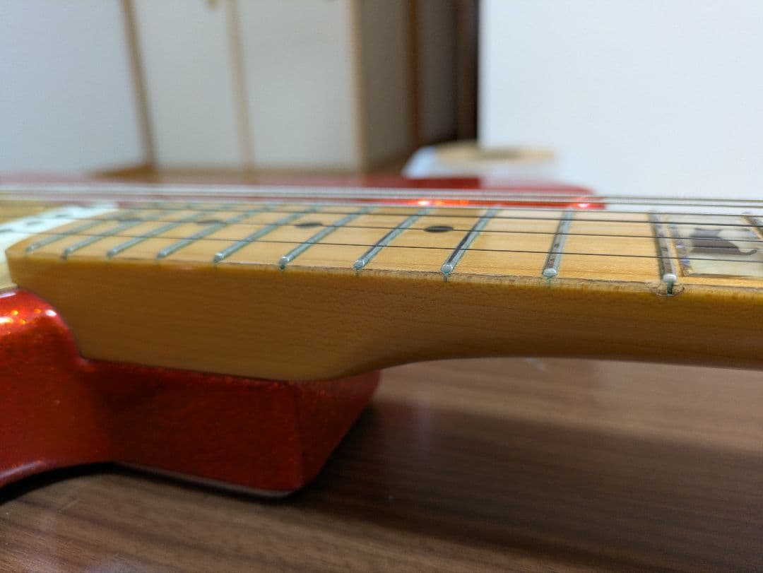 FERNANDES LD-95KK　L'Arc~en~Ciel　ken