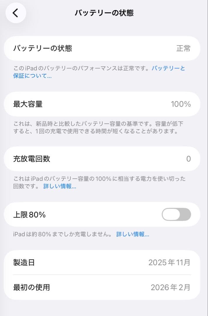 Apple iPad mini パープル 128GB