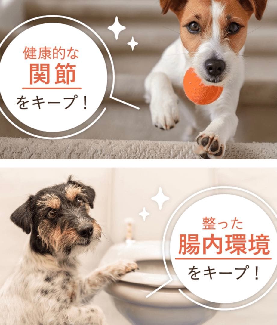 モ*ナ様 [犬猫生活 ] ドッグフード国産の生鶏肉味 850g✖️2袋
