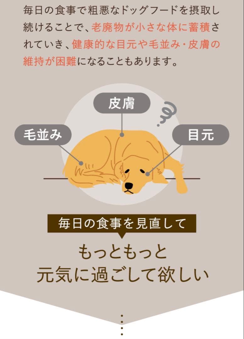 モ*ナ様 [犬猫生活 ] ドッグフード国産の生鶏肉味 850g✖️2袋