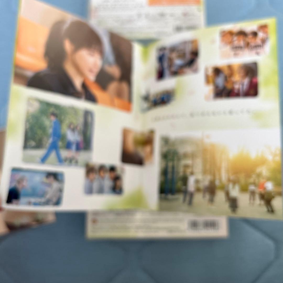 春待つ僕ら プレミアム・エディション('18映画「春待つ僕ら」製作委員会)〈初…