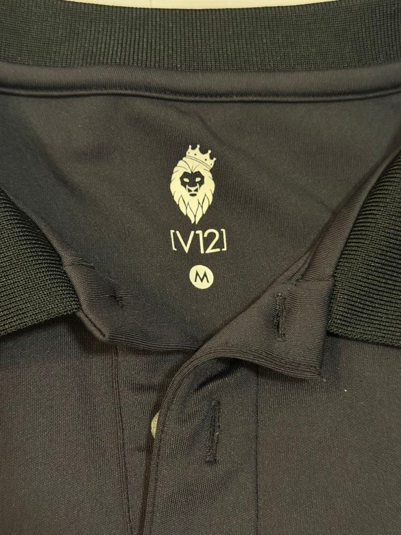 雅 V12 メンズ ゴルフウェア ポロシャツ Mサイズ