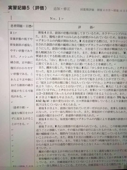 さき様 看護学生 手順書 実習記録 国試 アセスメント 看護学校 レポート 資料