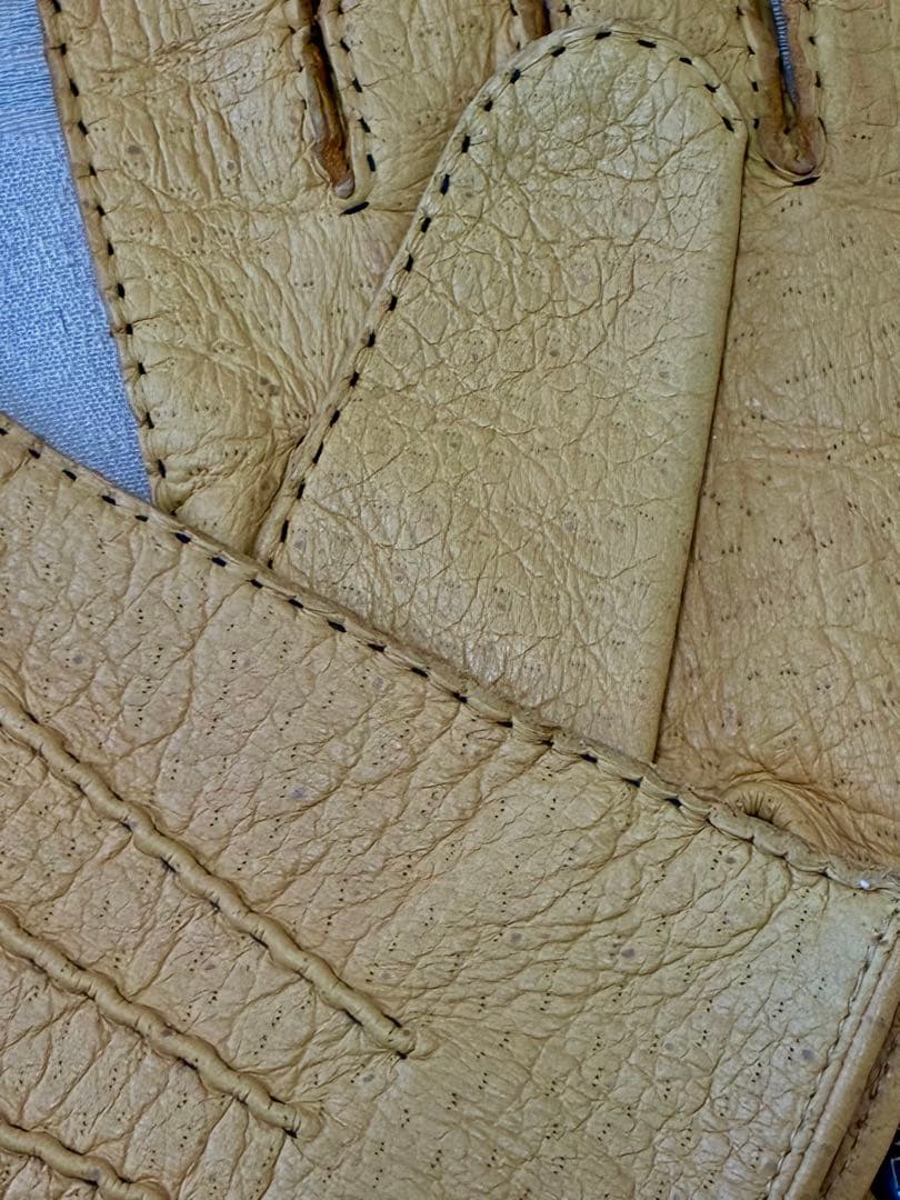 正規品 DENTS ペッカリーグローブ（裏地なし） 15-1043 7 1/2