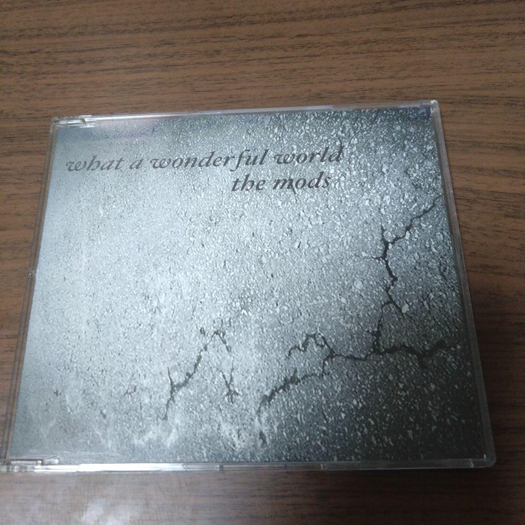 ザ・モッズ　the mods / what a wonderful world