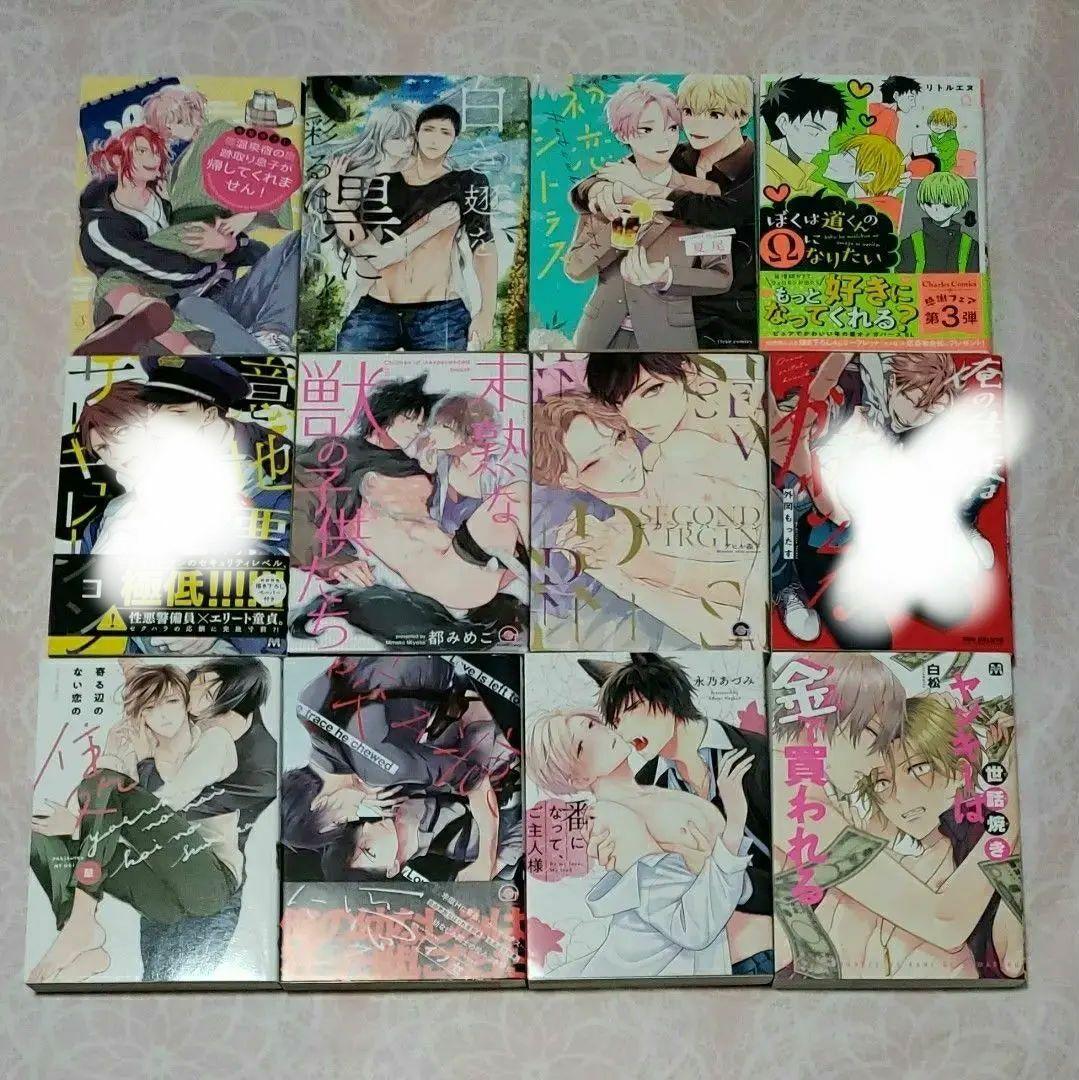 BLコミック まとめ売り バラ売り可 漫画 ボーイズラブ　⑥