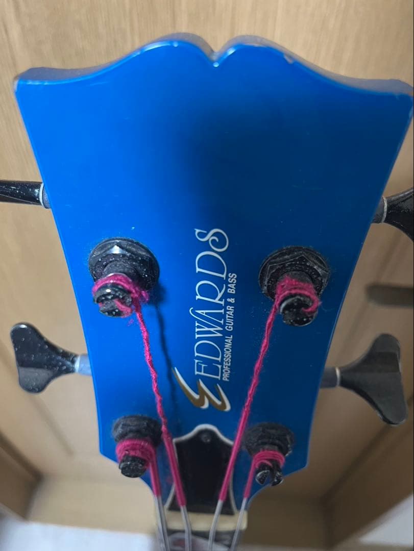 EDWARDS LUNASEA Jモデルベース