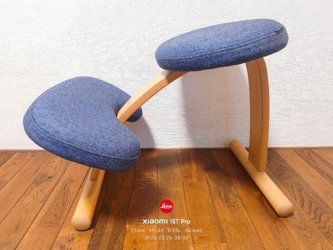 ぽん【極美品】バランスイージー Rybo リボ社 バランスチェア 姿勢改善
