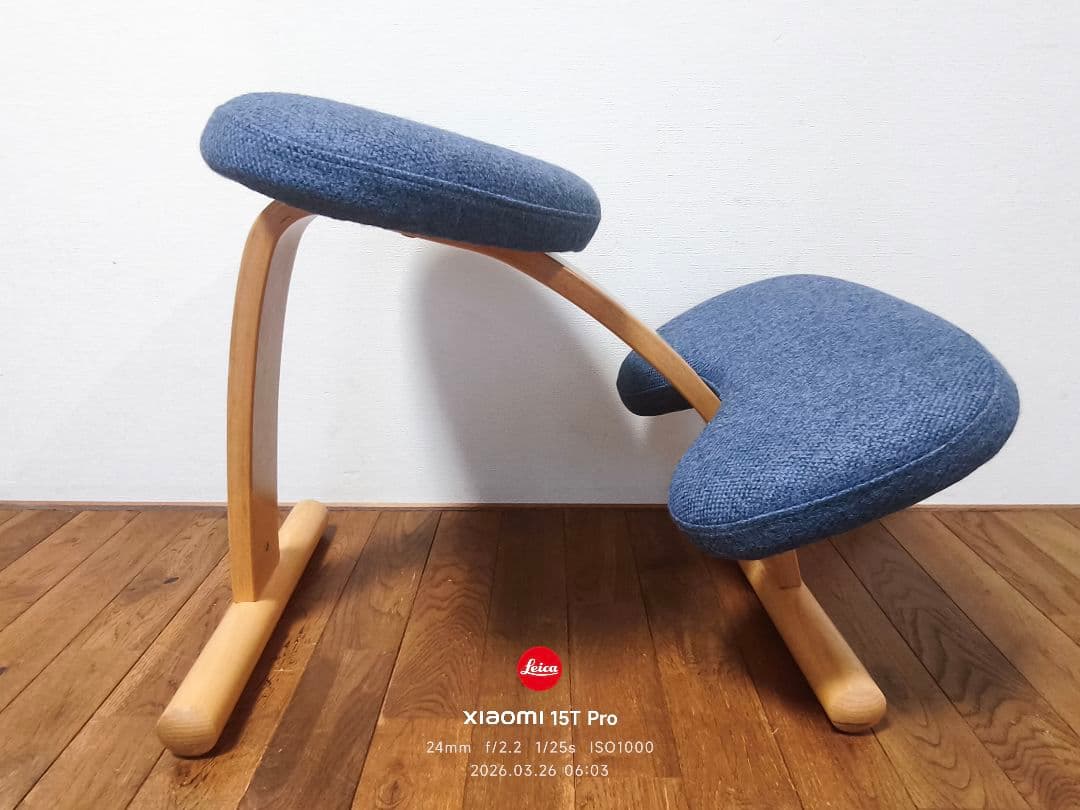 ぽん【極美品】バランスイージー Rybo リボ社 バランスチェア 姿勢改善