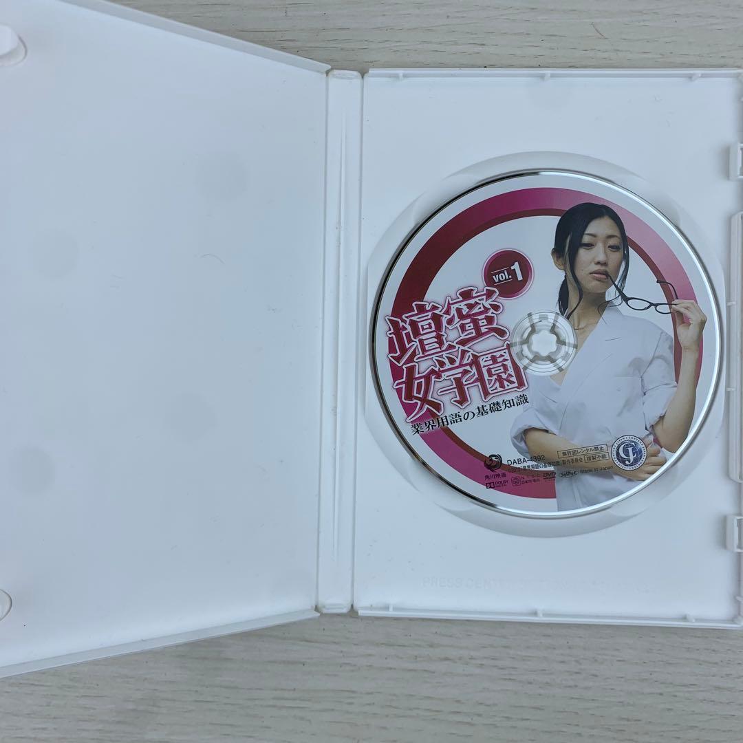 壇蜜DVD4本セット まとめ売り