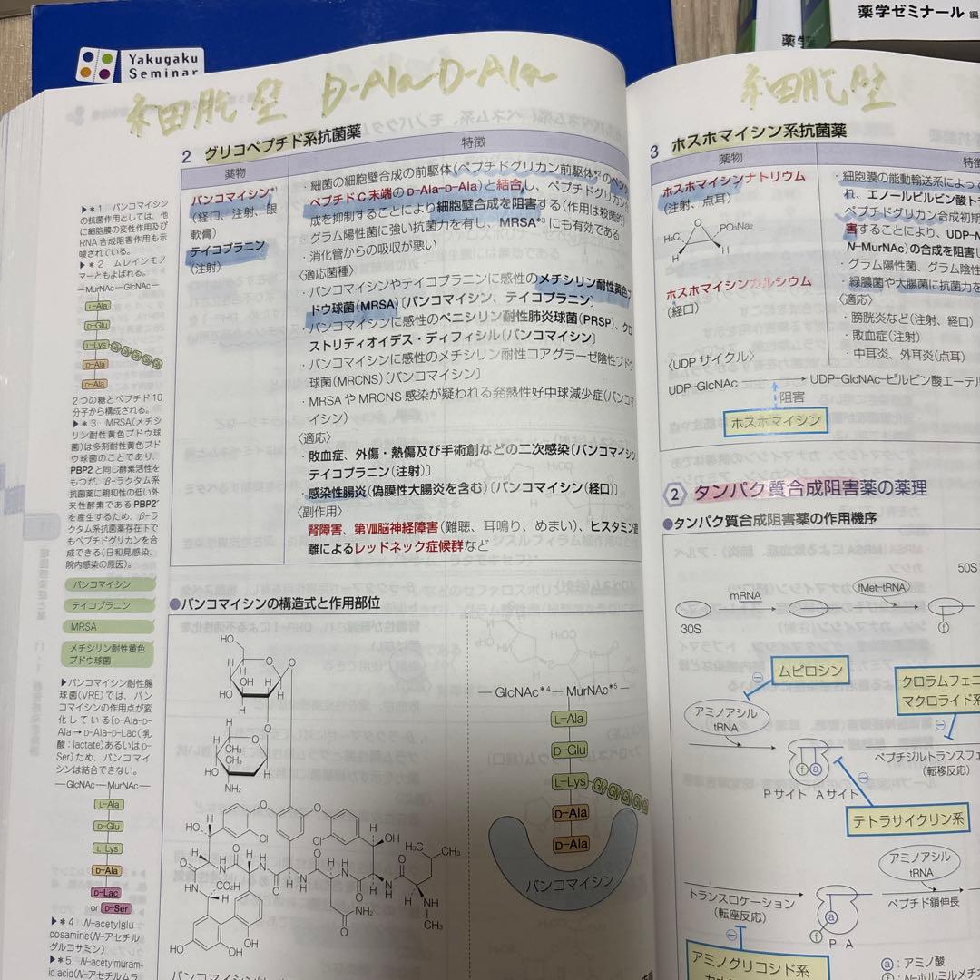 第111回　薬剤師国家試験対策参考書　青本　青問　セット　改訂第15版
