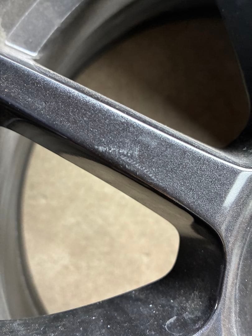 （カププラ）トーヨーオブザーブガリットギズ