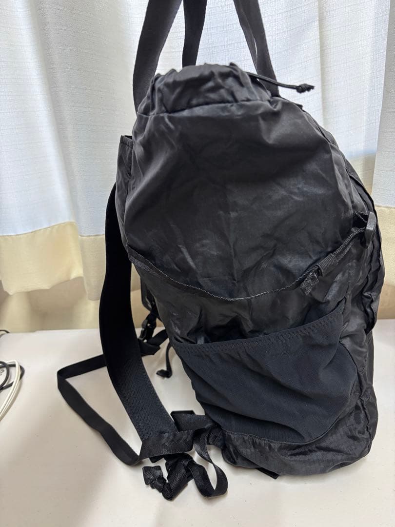 パタゴニア Lightweight Travel Tote Pack 22L