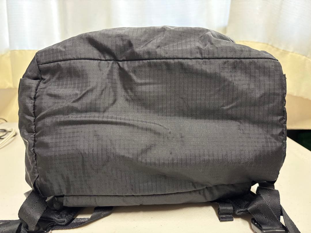 パタゴニア Lightweight Travel Tote Pack 22L