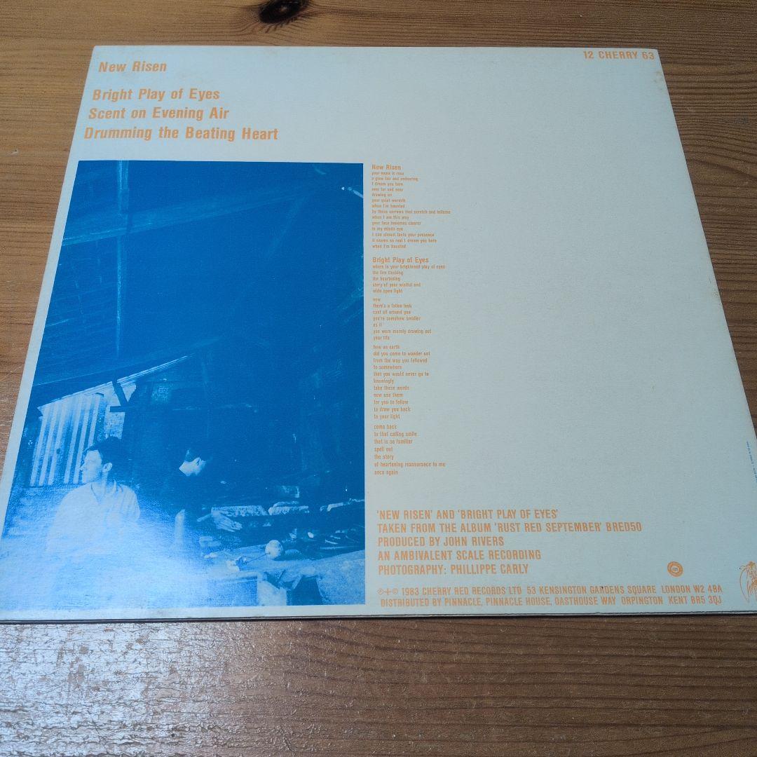 80s名盤LP6枚セット エコバニ/REM国内帯付/コステロ3枚/アイレス