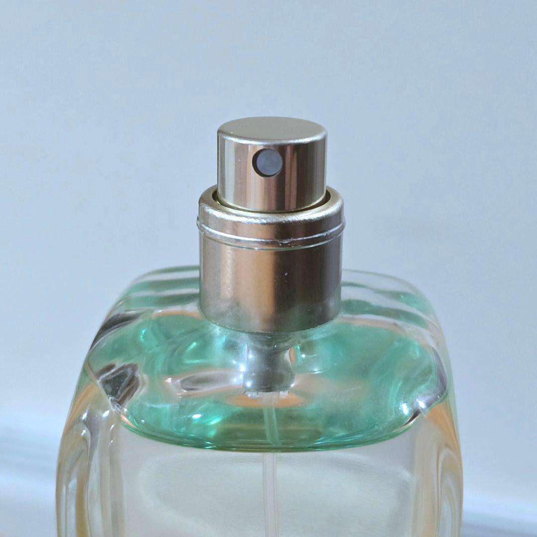 S**様 国内正規品 エルメス ナイルの庭 100ml 香水 オードトワレ ほぼ