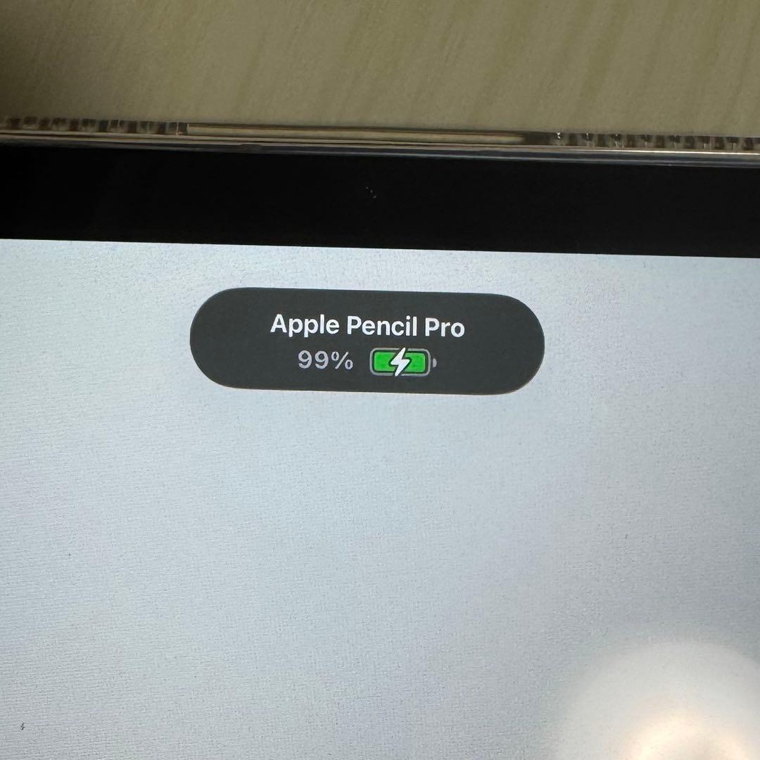 Apple Pencil Pro 正規品 本体のみ