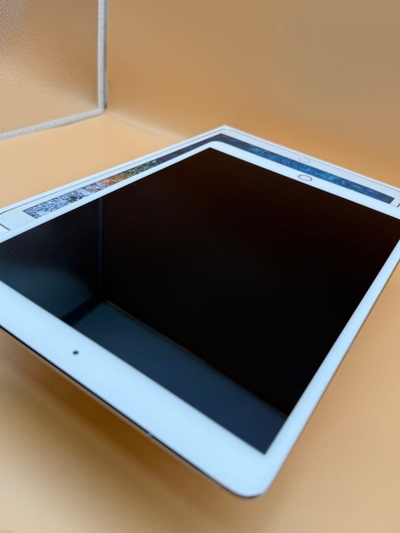 【RISE様】【kindleセット】iPadPro+kindle【中古】