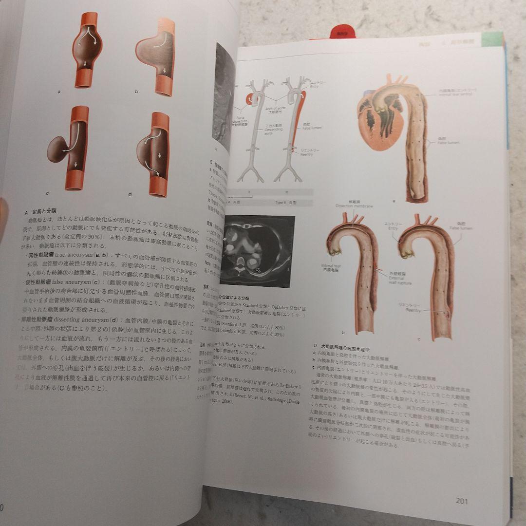 プロメテウス解剖学アトラス 胸部/腹部・骨盤部　第3版