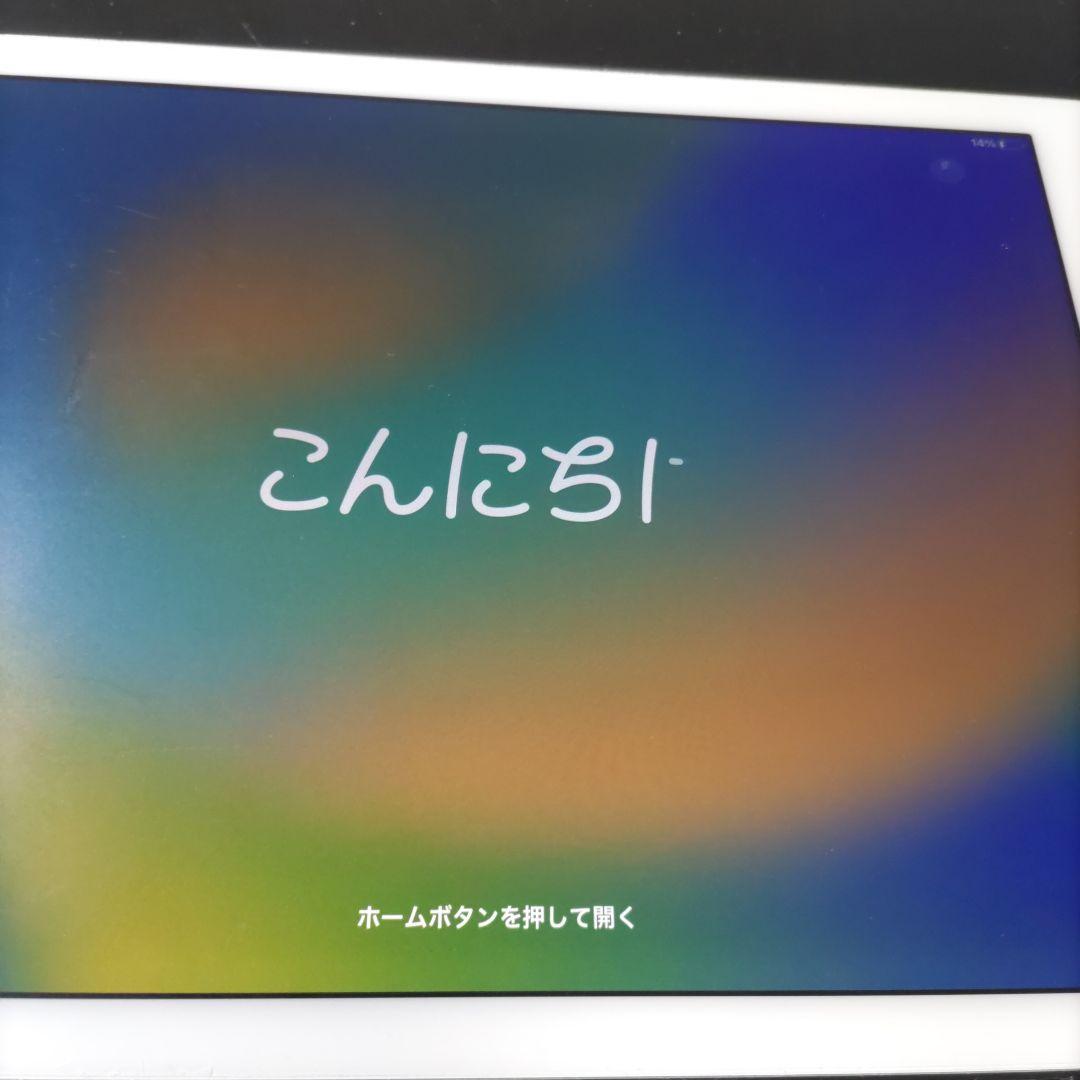 iPad Pro（第1世代）9.7インチ