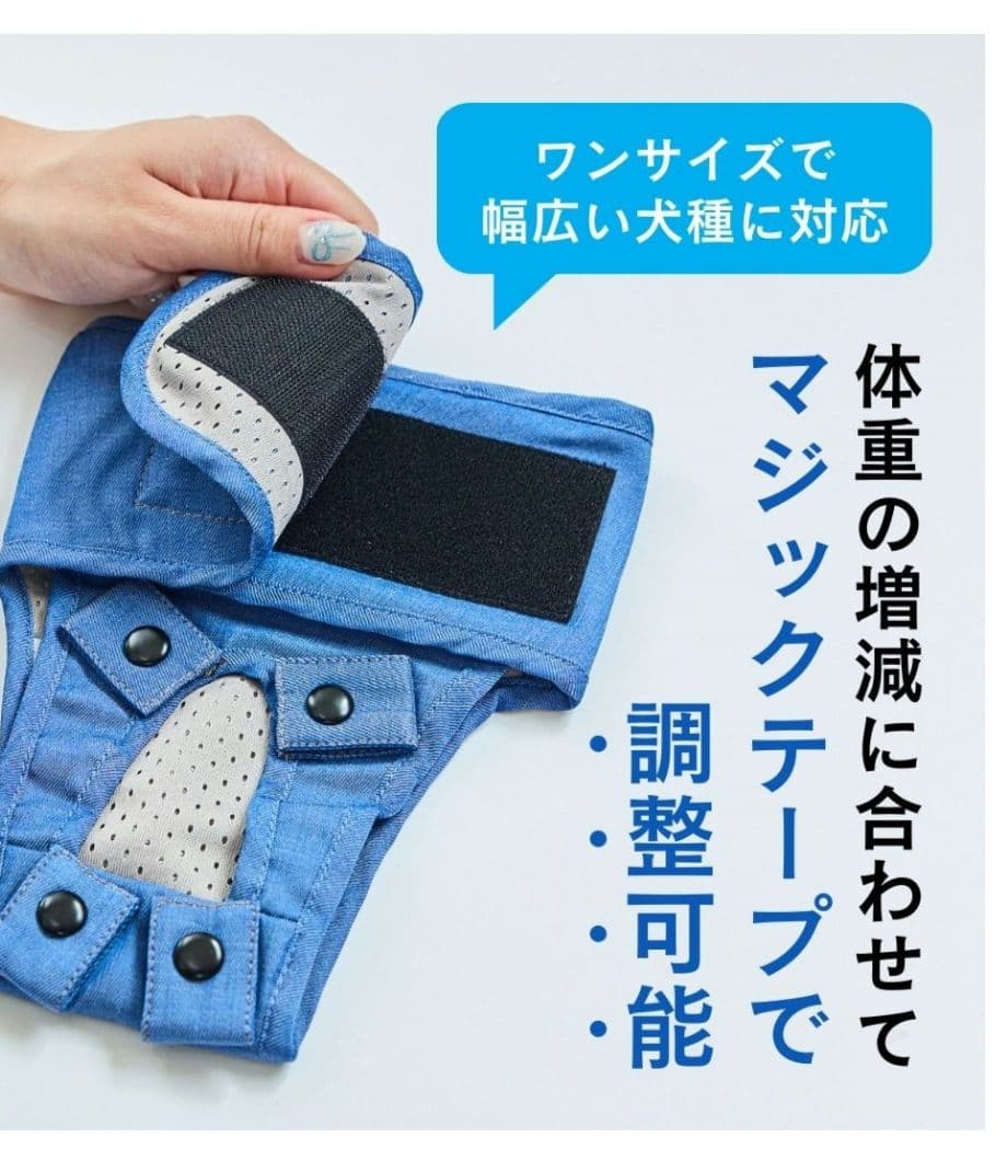 gumiうんコロキャッチ XS