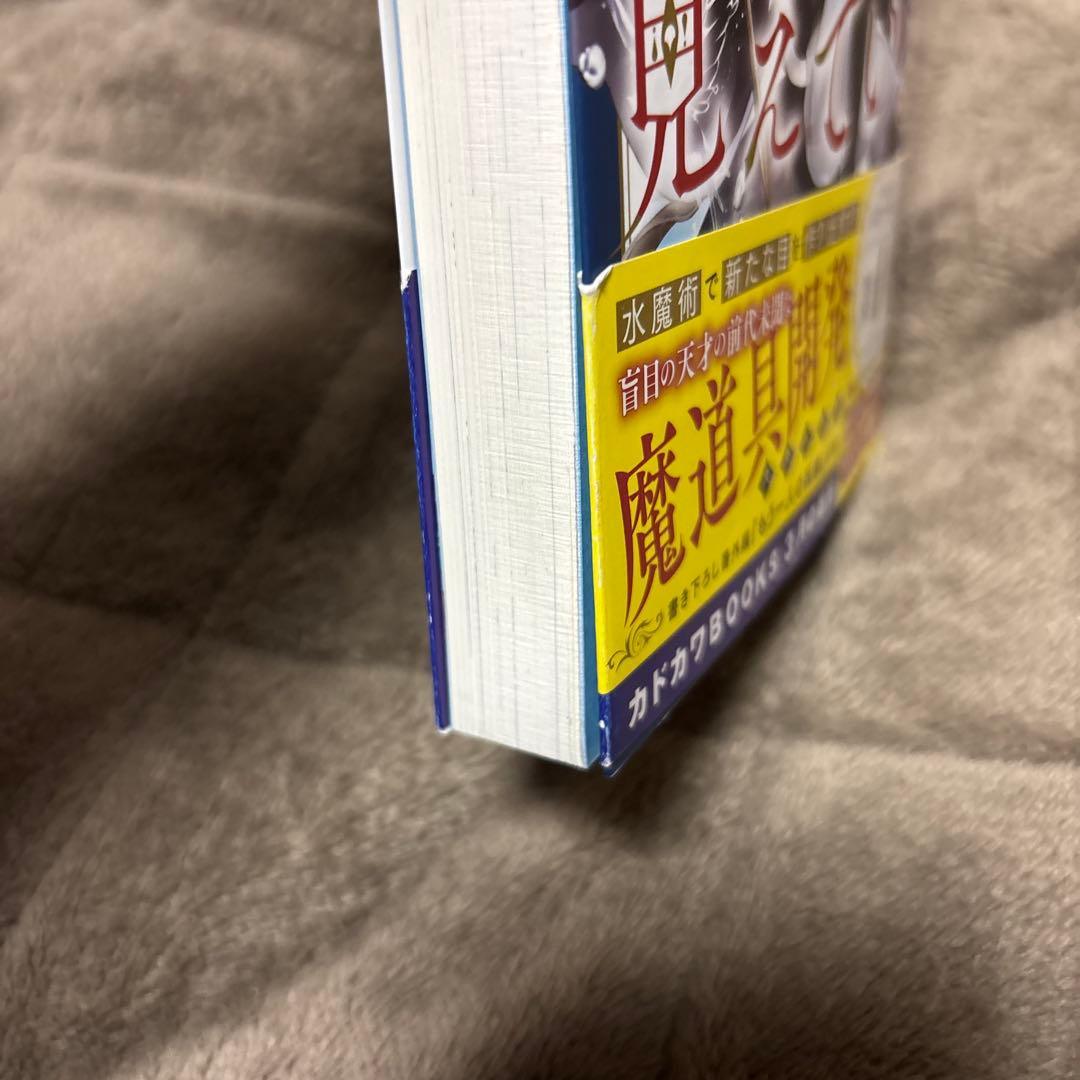 魔術師クノンは見えている 全巻 1-8巻 南野海風 アニメ化 小説 ラノベ