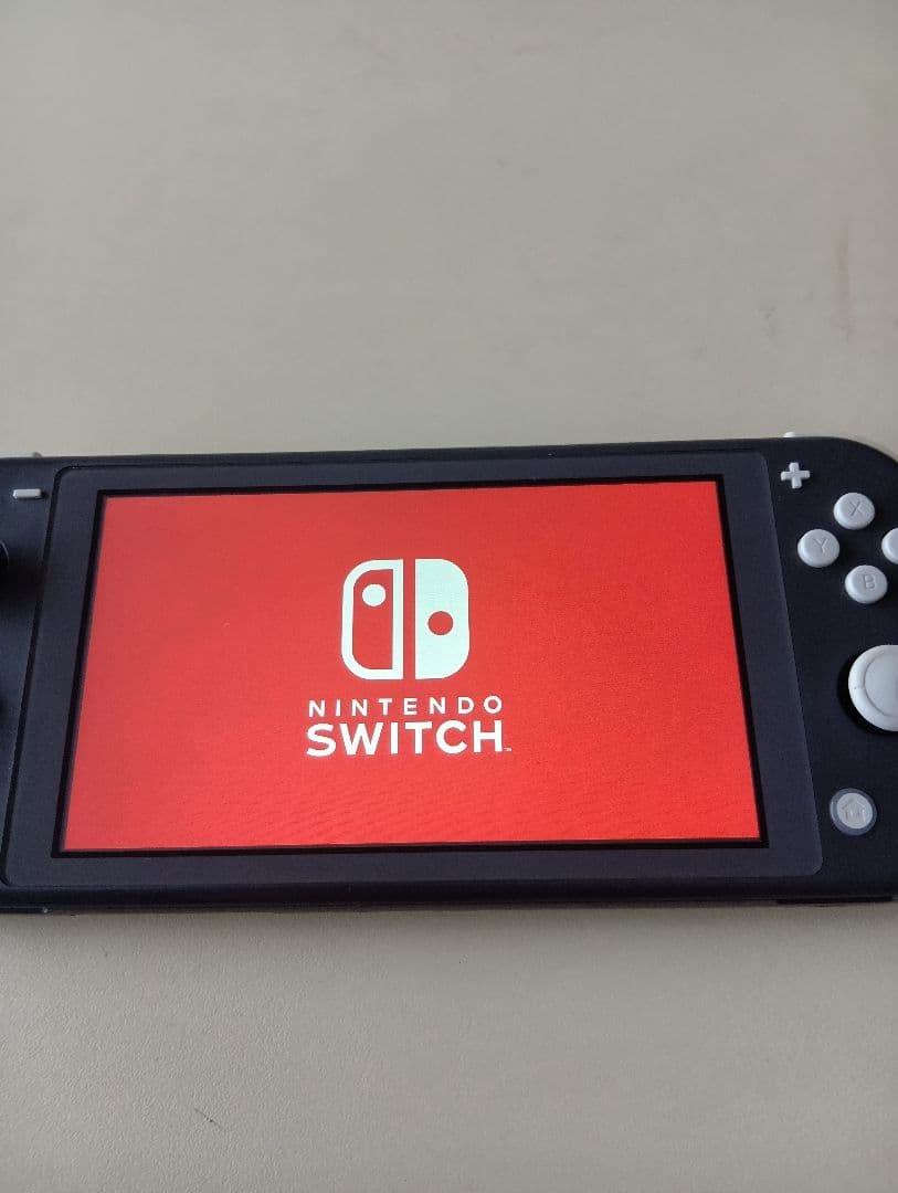 Nintendo Switch Lite グレー ゲームカード2枚付き