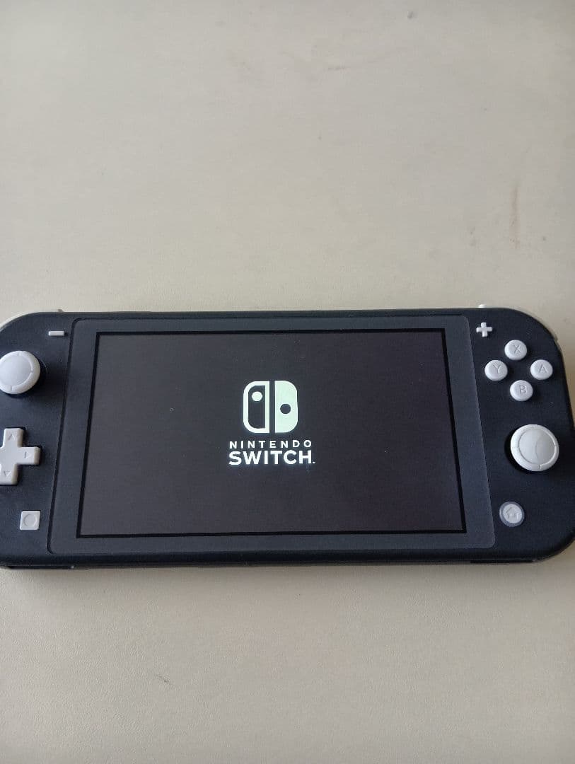 Nintendo Switch Lite グレー ゲームカード2枚付き