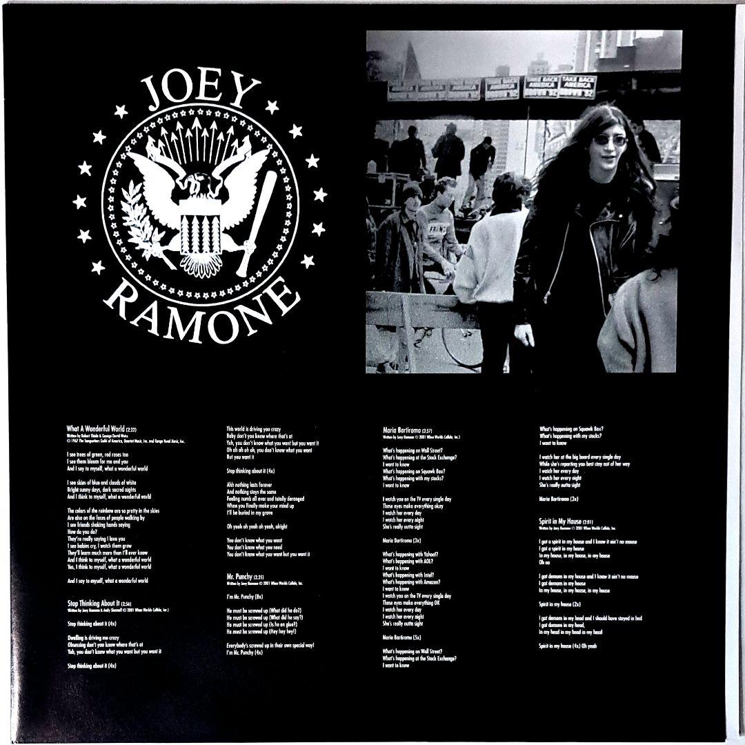 Joey Ramone　Don't Worry About Me　レコード　LP