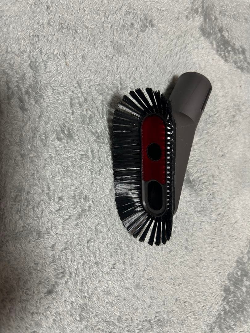 月に負けた犬　Dyson cyclone v10 fluffy 本体