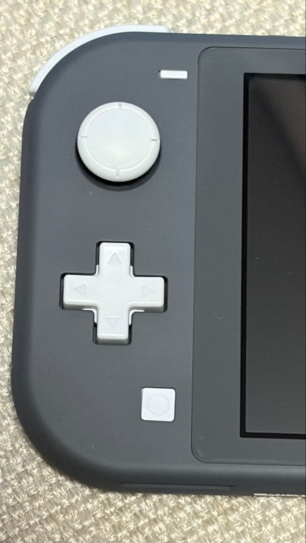 Nintendo Switch Lite グレー 本体　カバー　充電器付き