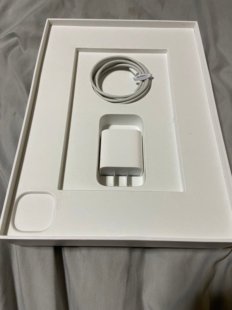 iPad (A16): 11 インチモデル　256GB 充電器付