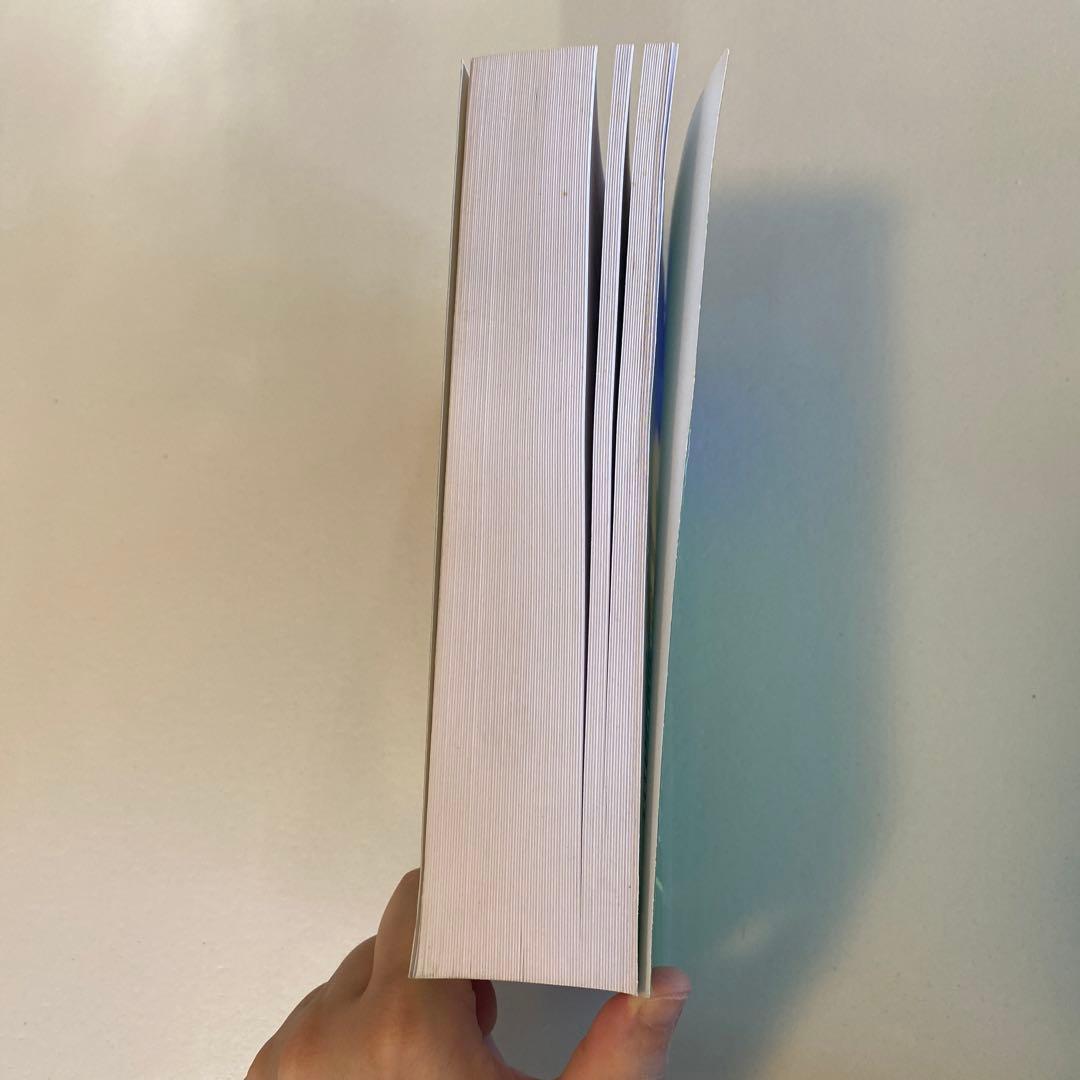 洋書 THE GEOMETRY OF PHYSICS AN INTRODUCTION
