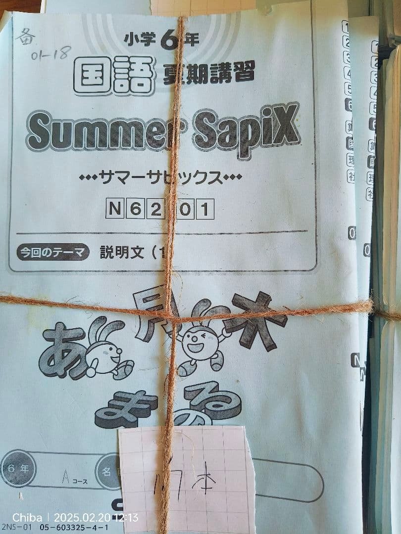 SapiX 国語教材 6年生 Summer & Weekly