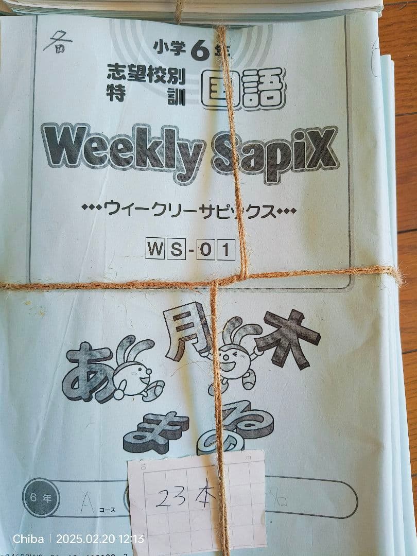 SapiX 国語教材 6年生 Summer & Weekly