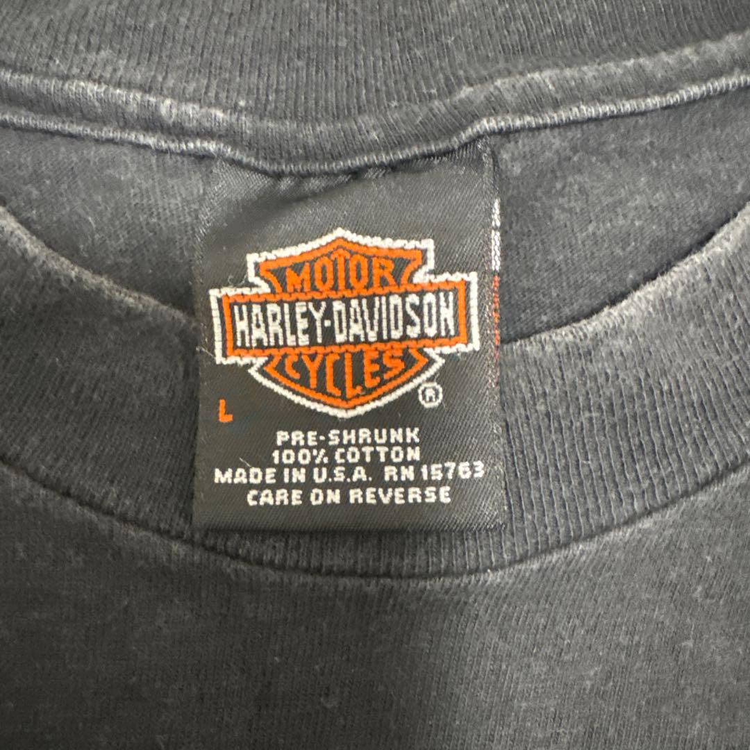 Harley-Davidson イーグルデザイン Tシャツ Lサイズ