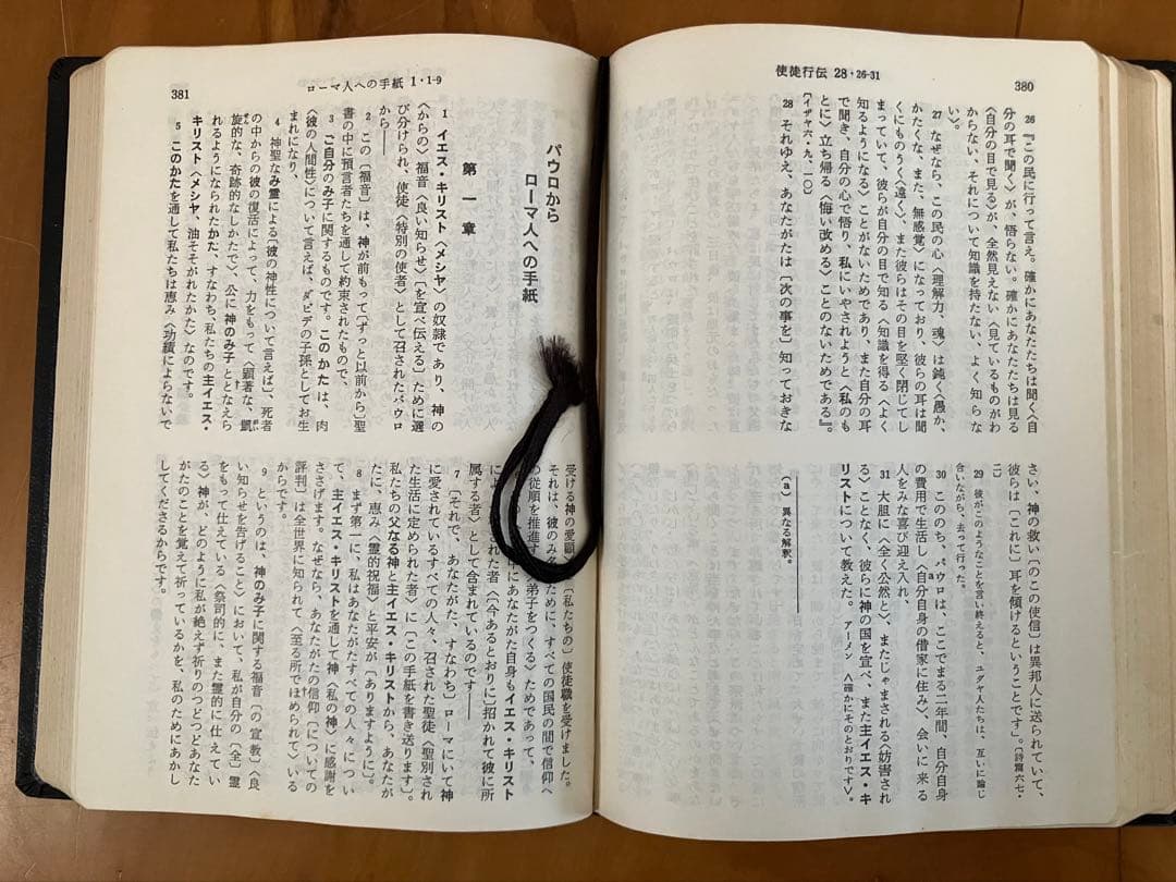 詳訳聖書 新約