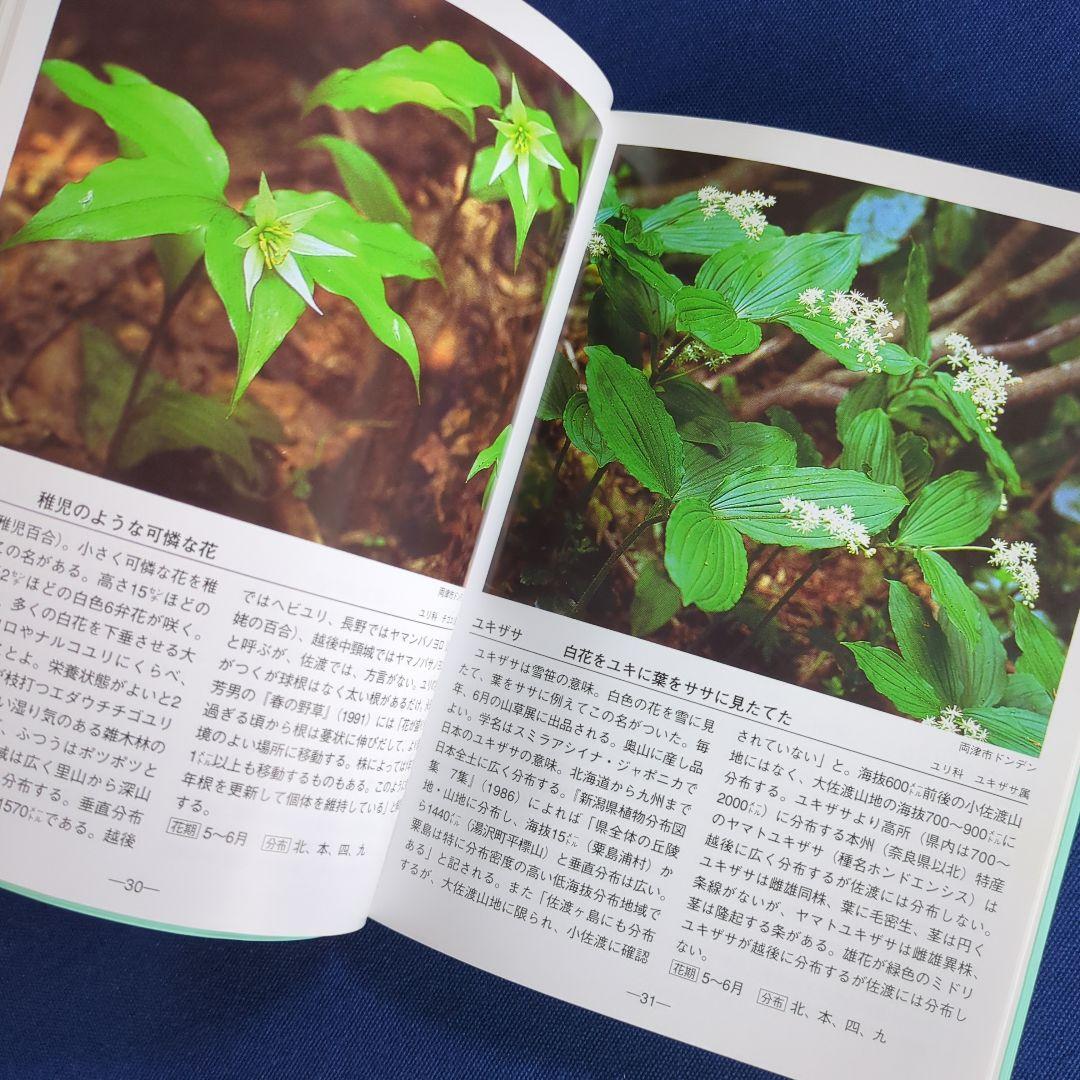 佐渡の花 携帯版 改訂版（植物の種類と色別の花の情報ガイドブック）オールカラー